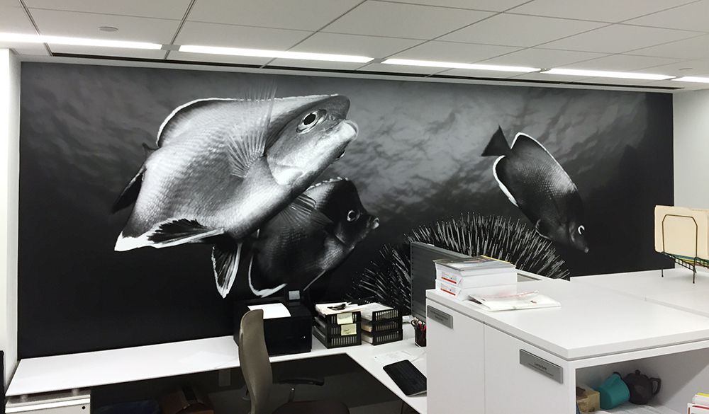 Wall Wraps and Graphics in Louisville, KY