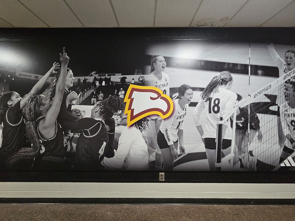 Experiential Graphics in Raleigh, NC designed and installed to brand workplace hallways and collaborative spaces