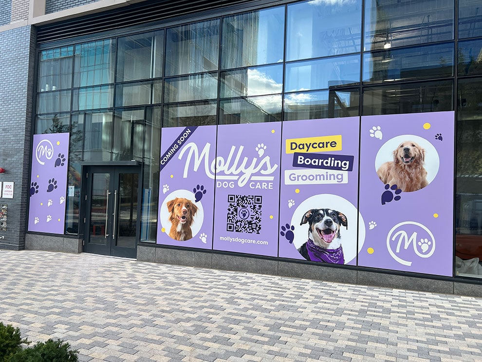 Window Graphics in Columbia, SC