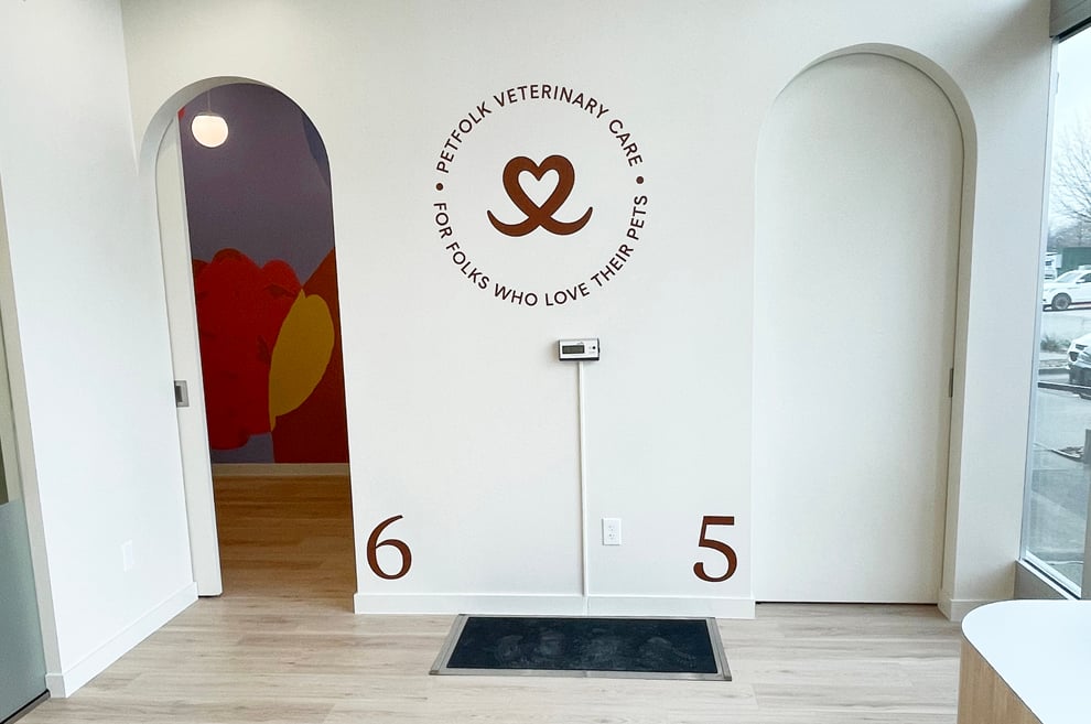 Office and business storefront graphics installed Norfolk, VA