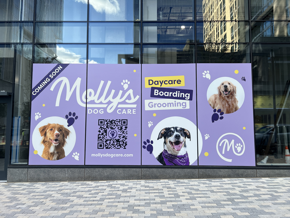 Storefront graphics and window decals designed for office branding Orlando, FL